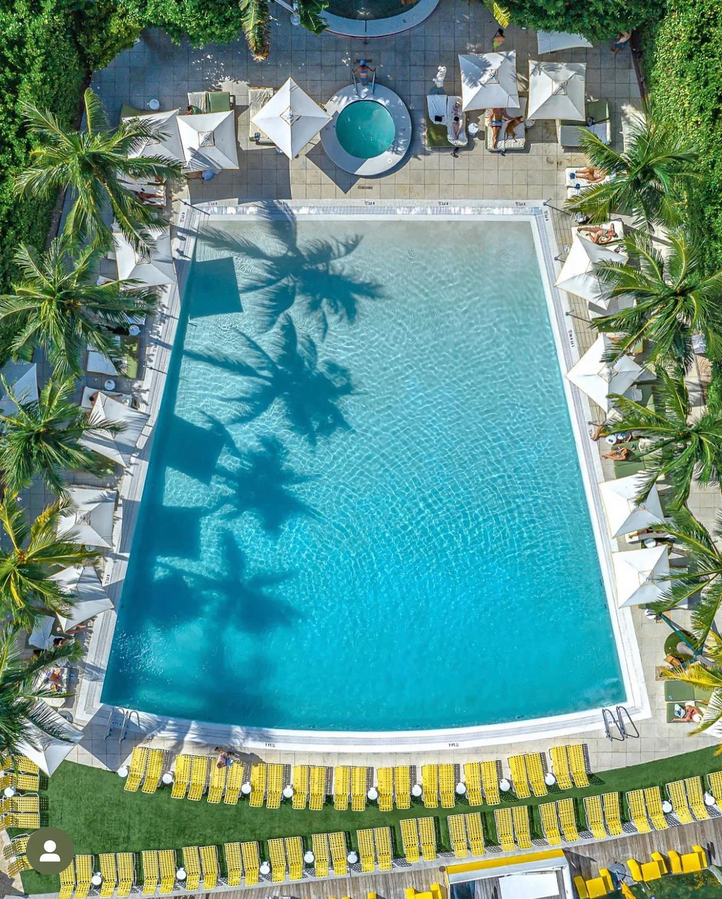 image  1 Miami - Anyone know this iconic Miami pool