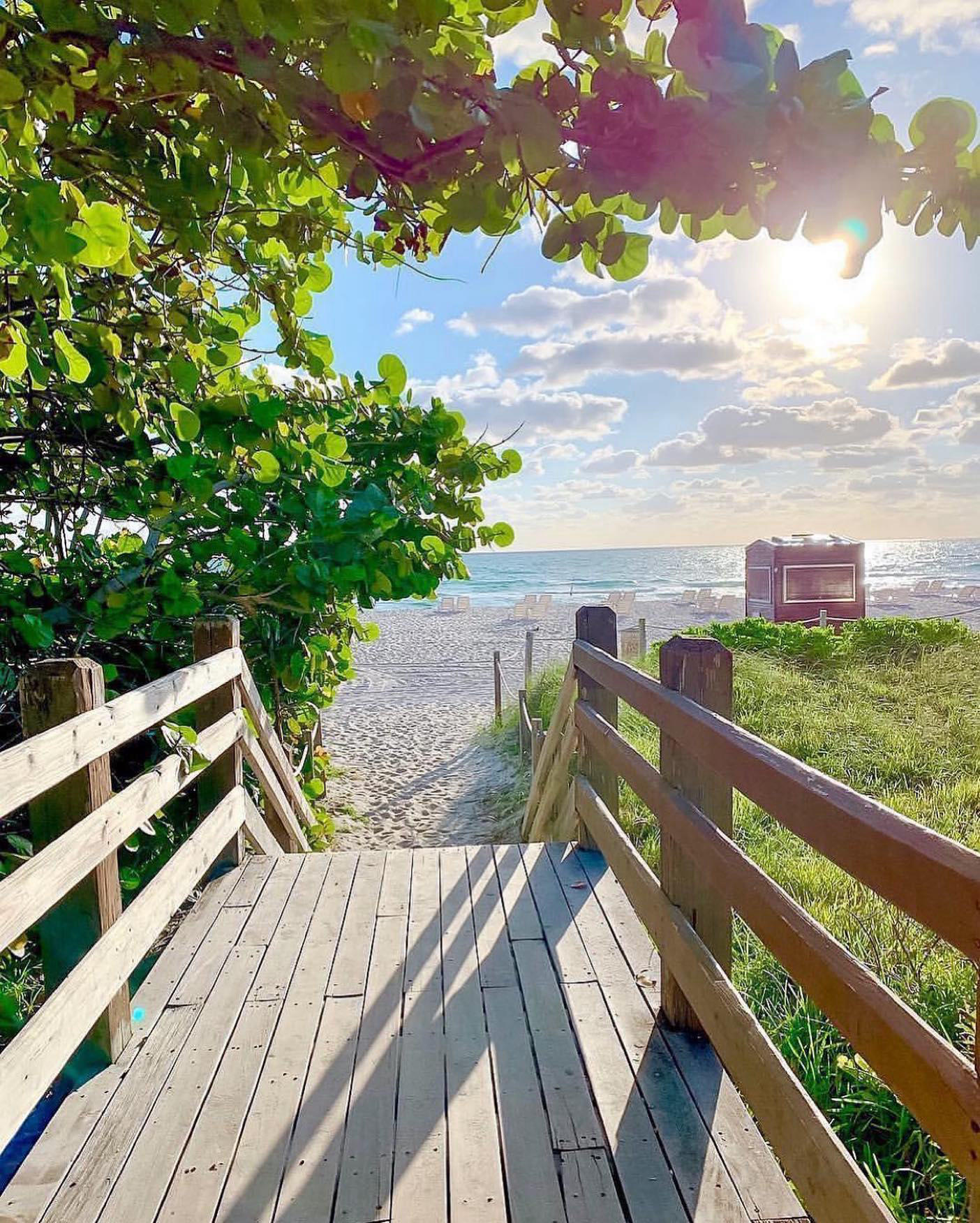 Miami Beach Life - Have a Great Monday Everyone