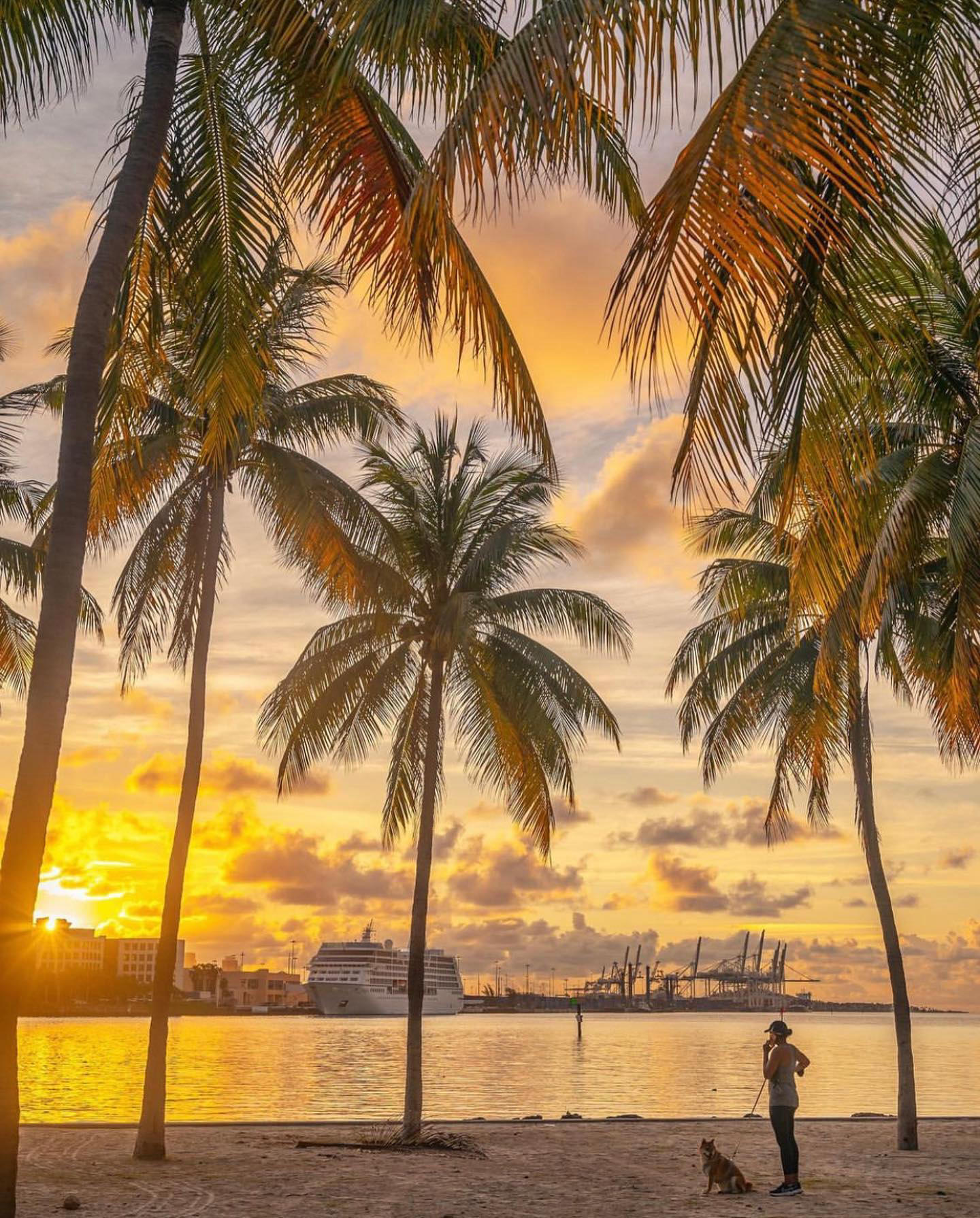 Miami - Good morning Miami