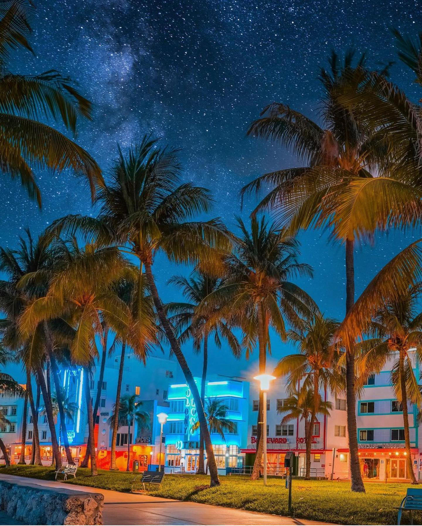 image  1 Miami - Miami nights