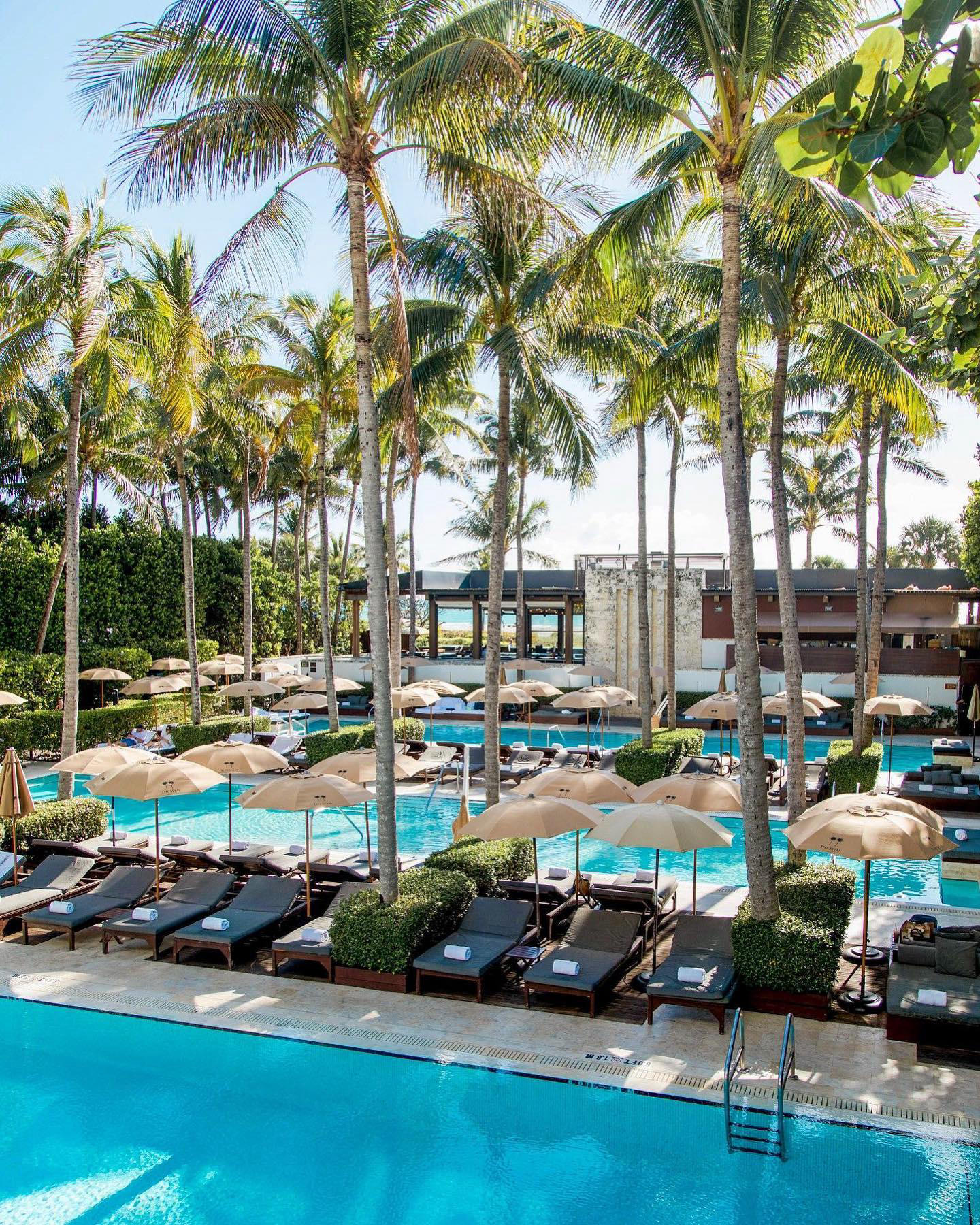 The Setai, Miami Beach - Your ideal poolside escape