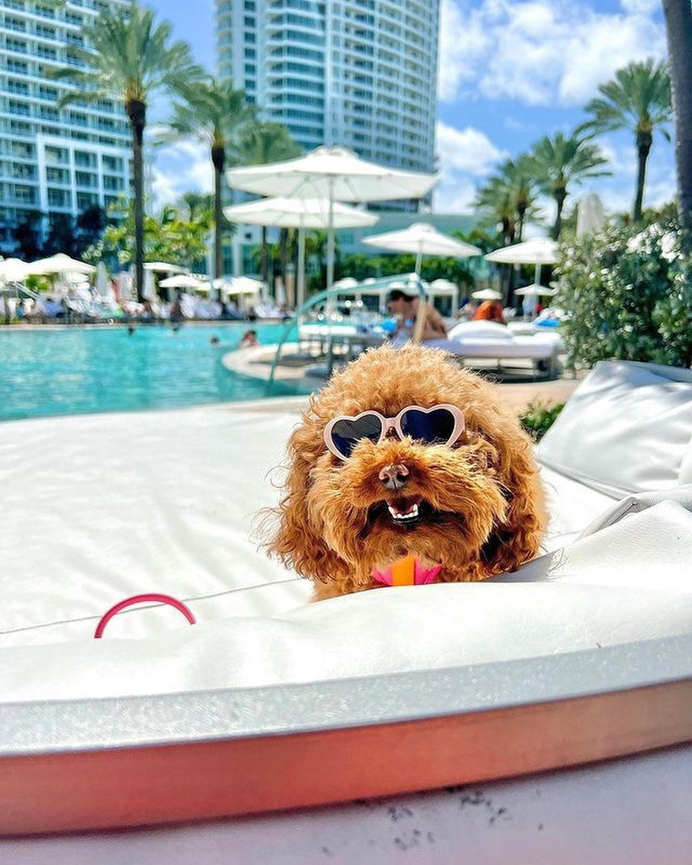 image  1 Which Fontainebleau guest fits your weekend mood